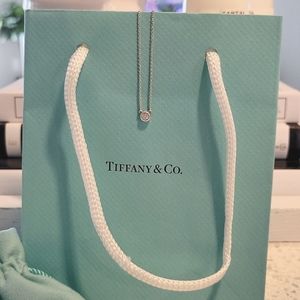 Tiffany & Co .10 ct Diamonds by the Yard Pendant